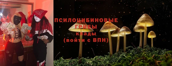 винт Пересвет
