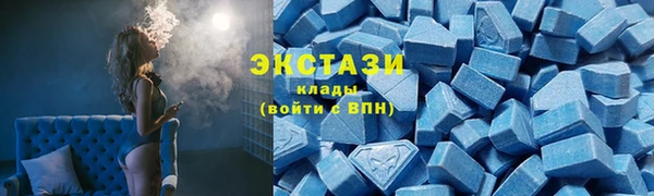 прущие грибы Переславль-Залесский