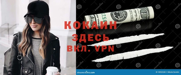 прущие грибы Переславль-Залесский