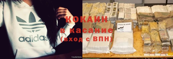 прущие грибы Переславль-Залесский