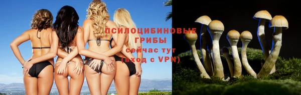 винт Пересвет