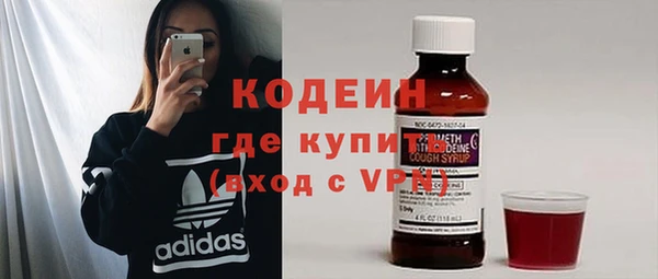 прущие грибы Переславль-Залесский