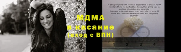 прущие грибы Переславль-Залесский
