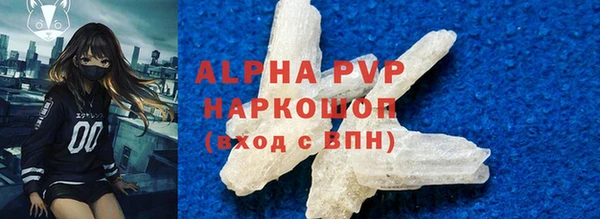 винт Пересвет