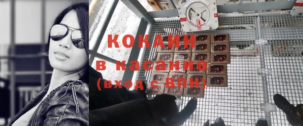 винт Пересвет