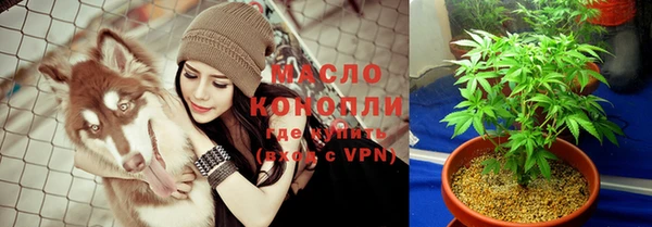 винт Пересвет