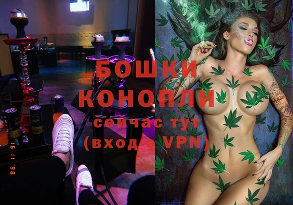 винт Пересвет
