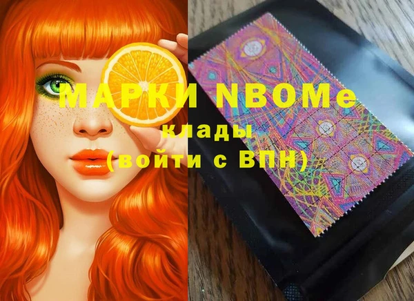 винт Пересвет