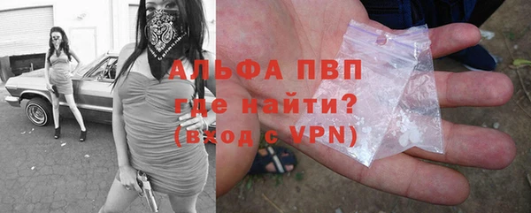 прущие грибы Переславль-Залесский
