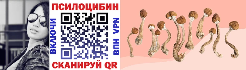 Галлюциногенные грибы мухоморы  MEGA ссылки  Бодайбо  хочу  